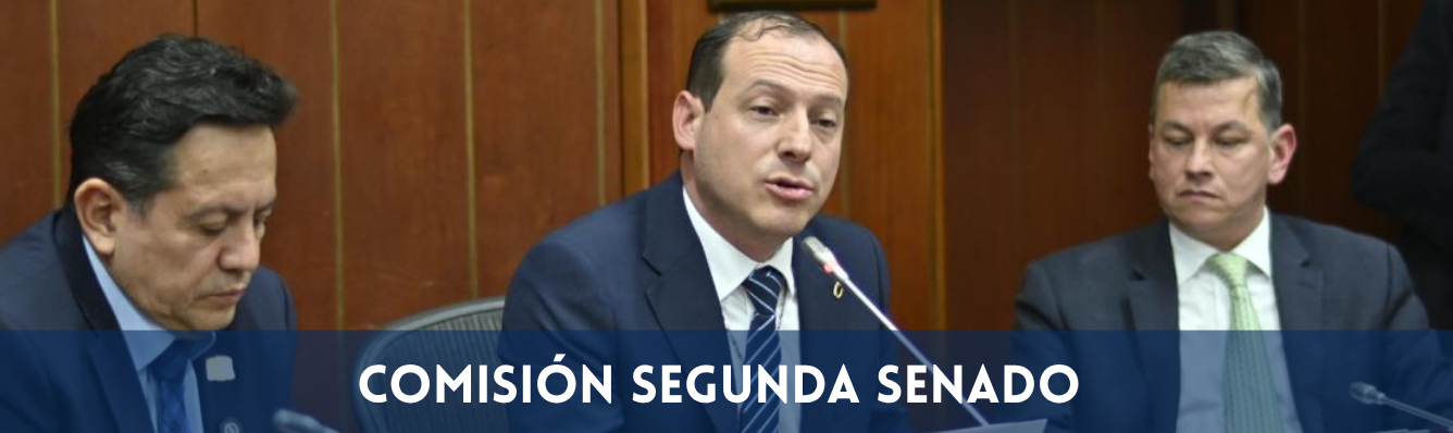 Banner Comisión Segunda