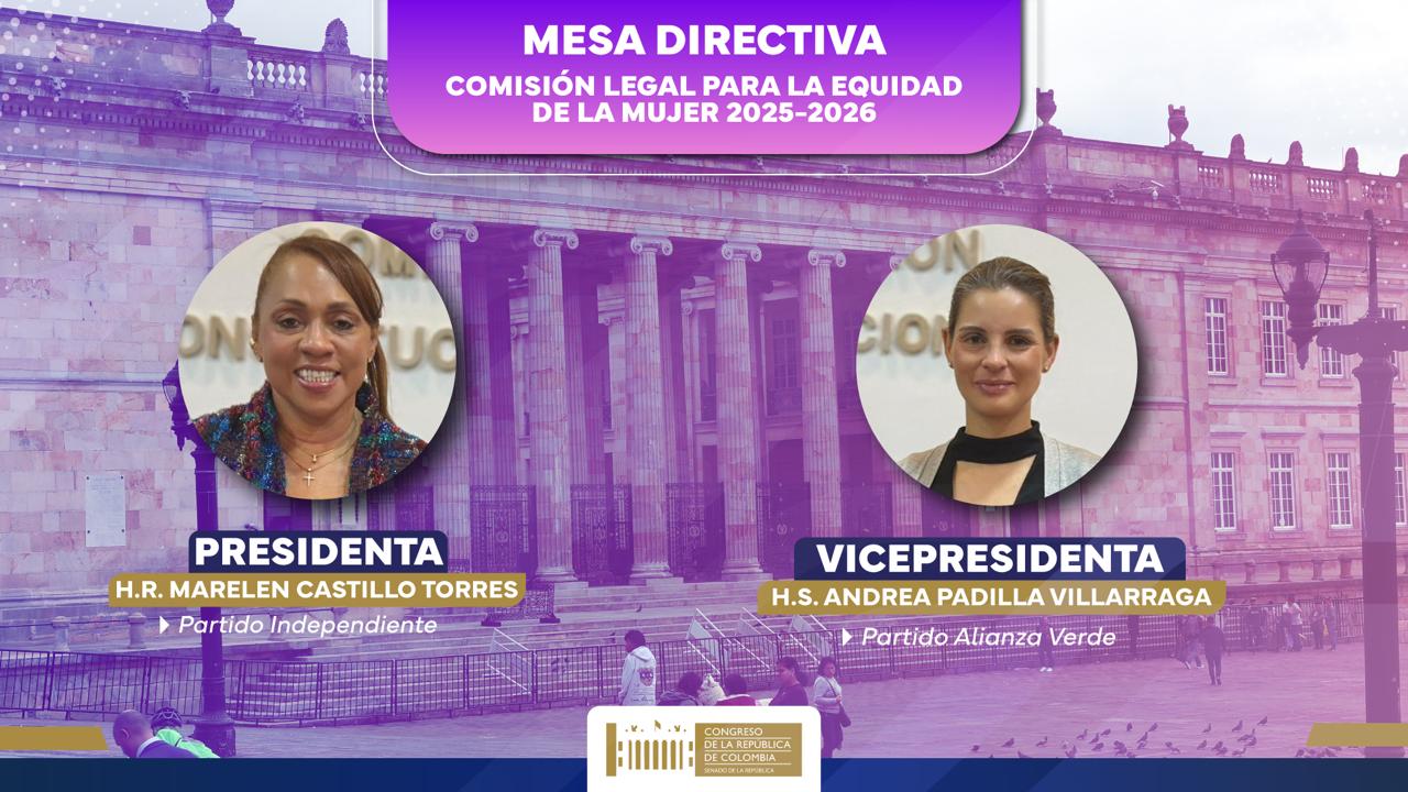 MesaDirectivaComisionMujer
