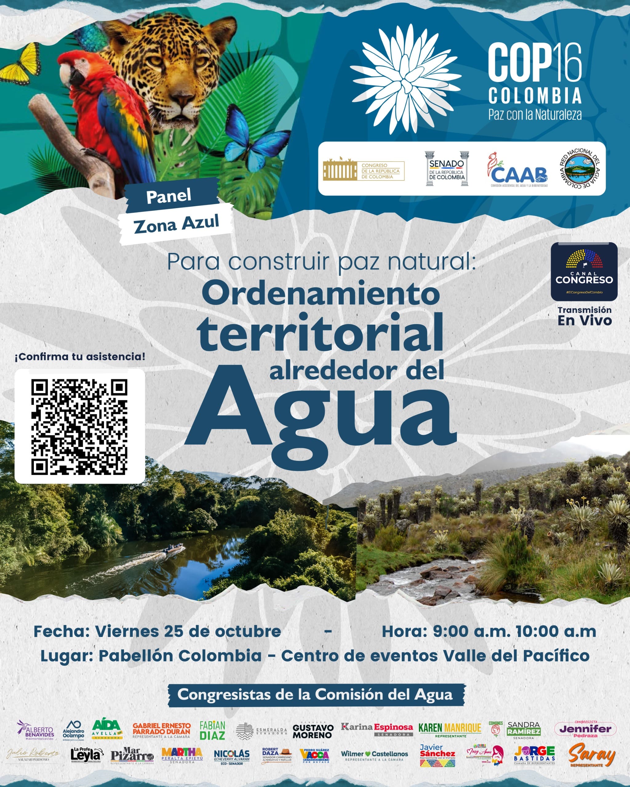 AFICHE ZONA AZUL COMISION DE AGUA COP 16 UN 