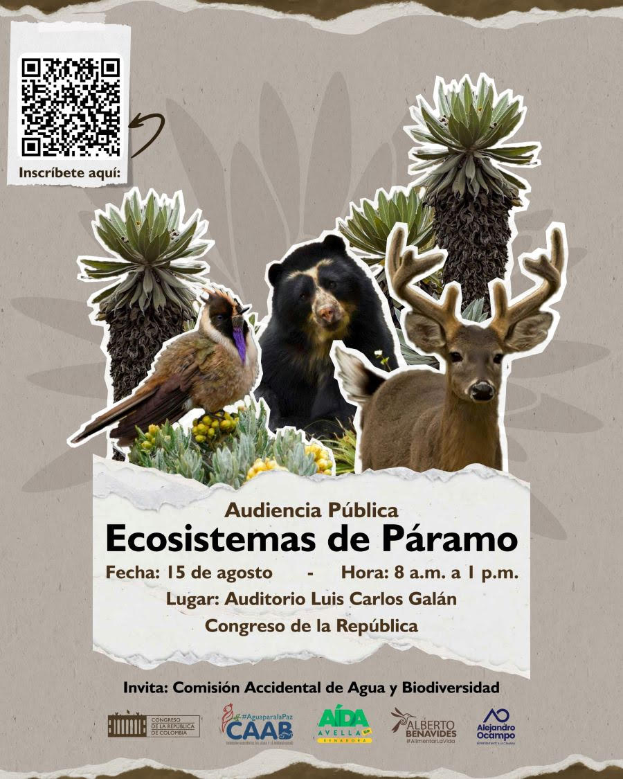 ecoparamo