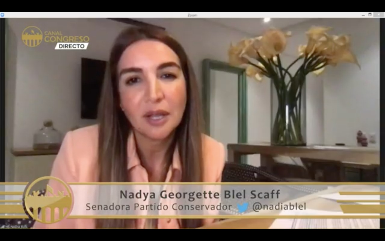 Foto senadora Nadia Blel