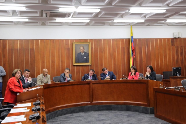 Senadora Aida Avella, al intervenir en la Comisión Cuarta