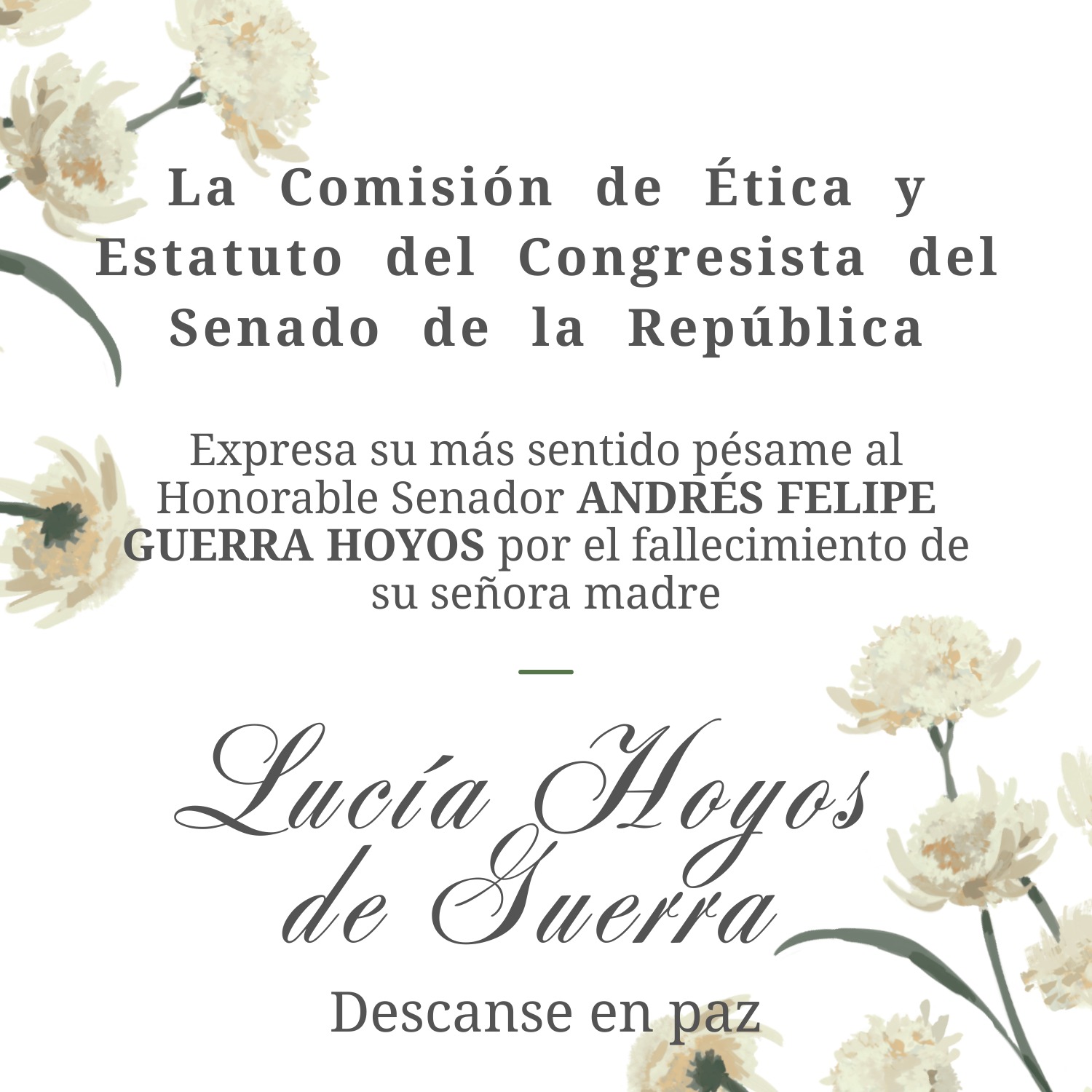 WhatsApp Image 2026 03 04 at 9.21.06 AM