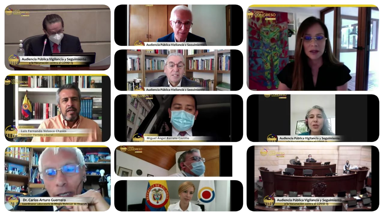 mosaico audiencia vacunas